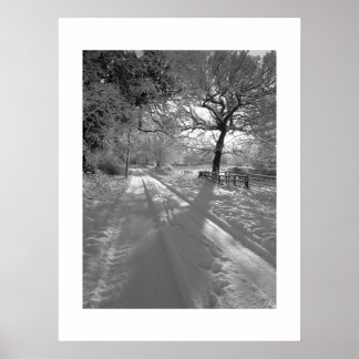 Tracks in the Snow: Cheshire Poster