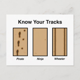 Tracks Postcard