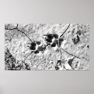 Tracks Poster