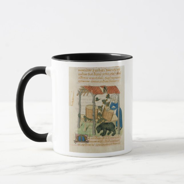 Tractatus de Herbis' Mug (Left)