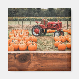 Tractor and Pumpkins Magnet