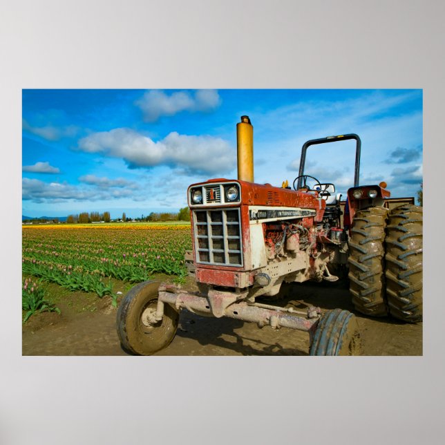 Tractor in the Tulip Fields Poster (Front)