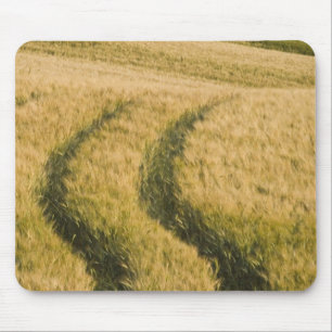 Tractors tracks through wheat, Tuscany, Italy Mouse Mat