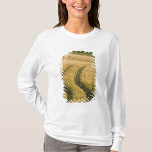 Tractors tracks through wheat, Tuscany, Italy T-Shirt