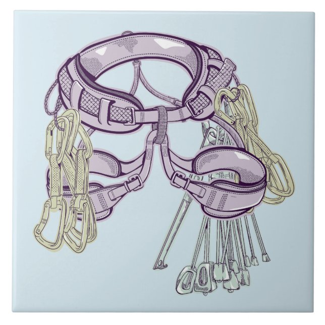 Trad climbing harness and equipment tile (Front)