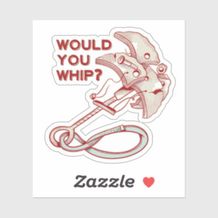 TRAD CLIMBING WHIPPER FALL