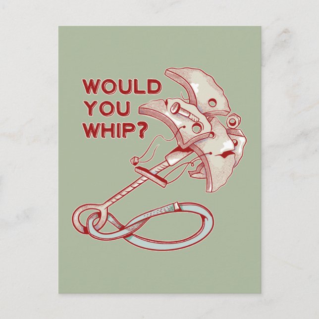 TRAD CLIMBING WHIPPER FALL POSTCARD (Front)