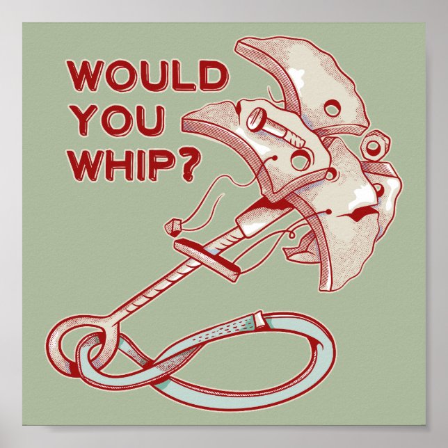 TRAD CLIMBING WHIPPER FALL POSTER (Front)