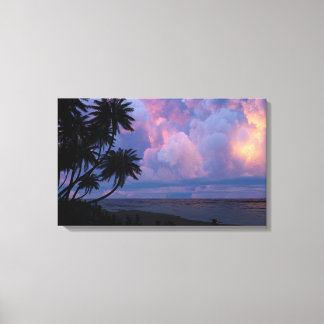 Trade Wind Moonlight Canvas Print