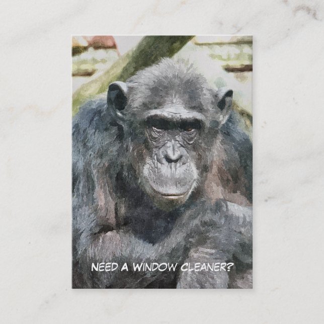 TRADES WINDOW CLEANING BUSINESS CARD (Front)