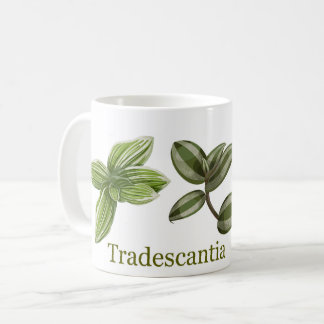Tradescantia cup