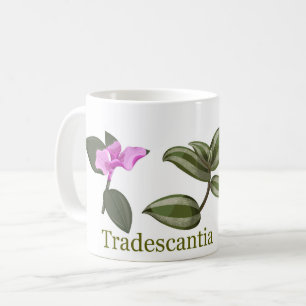 Tradescantia cup 2