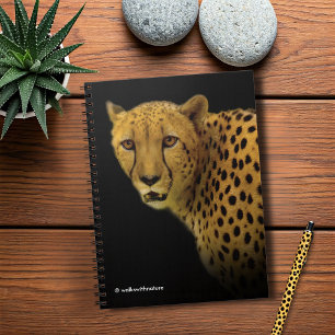 Trading Glances with a Magnificent Cheetah Notebook