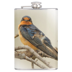 Trading Stares with a Barn Swallow Hip Flask