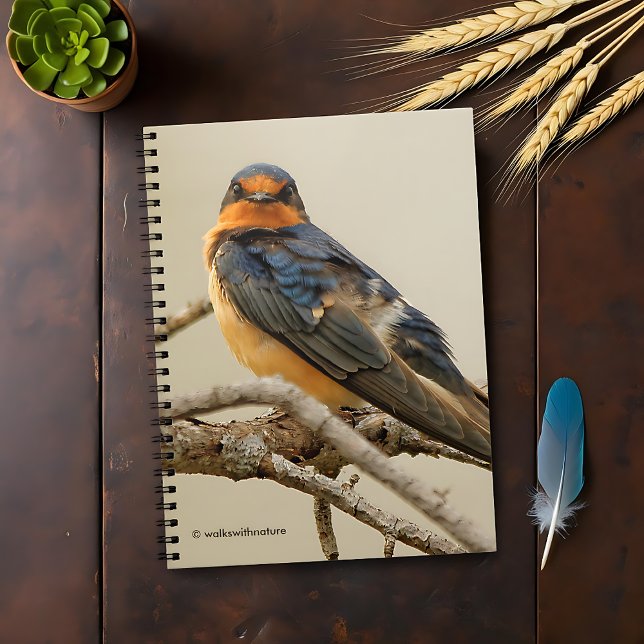Trading Stares with a Barn Swallow Notebook (Trading Glances with a Barn Swallow Journal Cover Photo)
