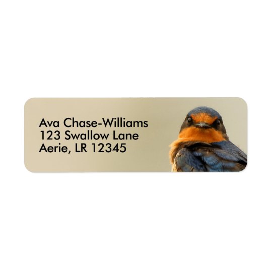 Trading Stares with a Barn Swallow Return Address Label