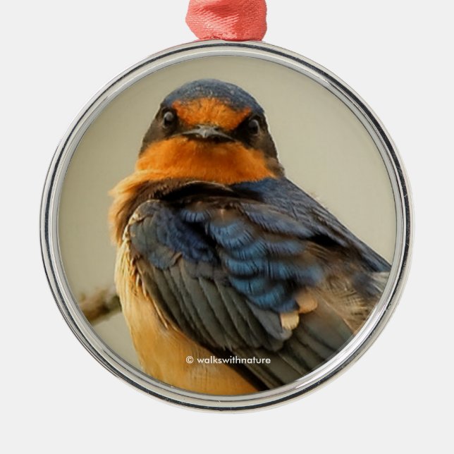 Trading Stares with a Cute Barn Swallow Songbird Metal Tree Decoration (Front)
