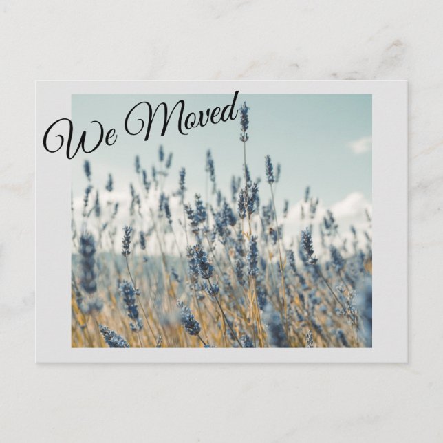 Traditional and Beautiful Postcard (Front)