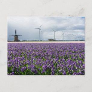 Traditional and modern windmill, Holland postcard