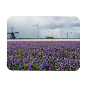 Traditional and modern windmill in Holland magnet