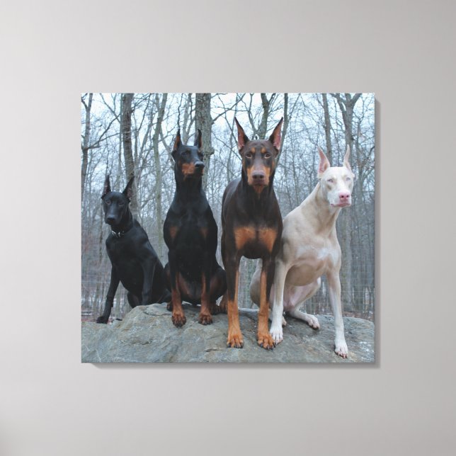 Traditional and Off Coloured Harmony Canvas Print (Front)