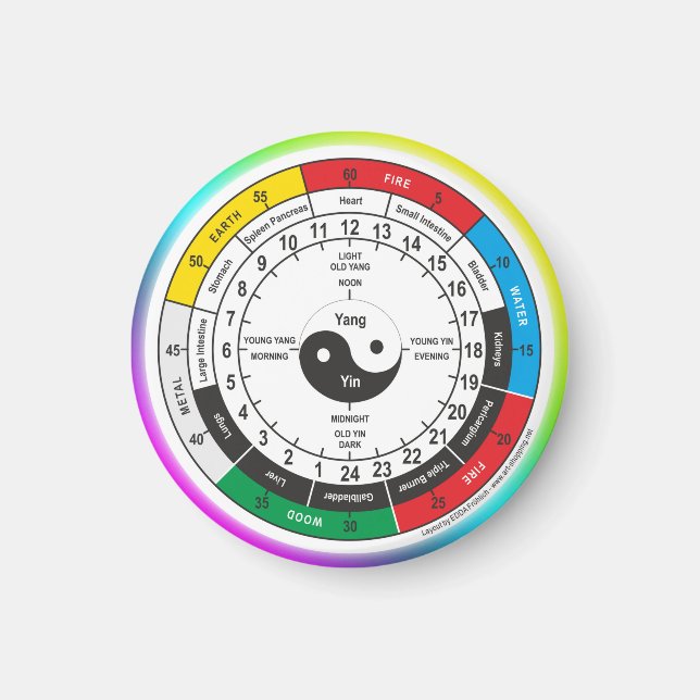 Traditional Chinese Medicine Body Clock Square Sti Magnet (Front)