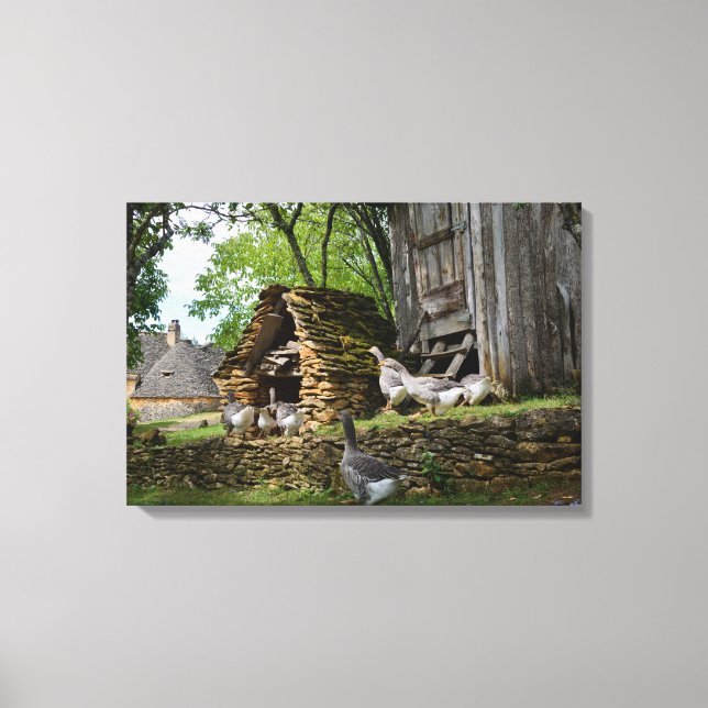 Traditional foie gras goose farm canvas print (Front)
