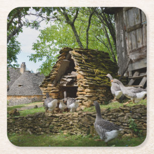 Traditional foie gras goose farm coaster