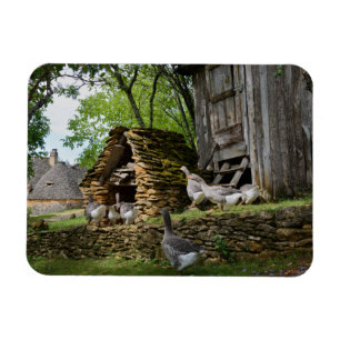 Traditional foie gras goose farm rectangle magnet