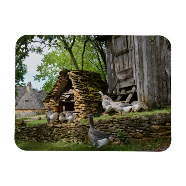 Traditional foie gras goose farm rectangle magnet (Horizontal)