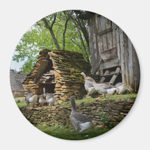 Traditional foie gras goose farm round magnet