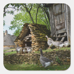 Traditional foie gras goose farm sticker