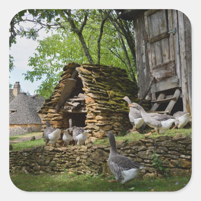 Traditional foie gras goose farm sticker (Front)