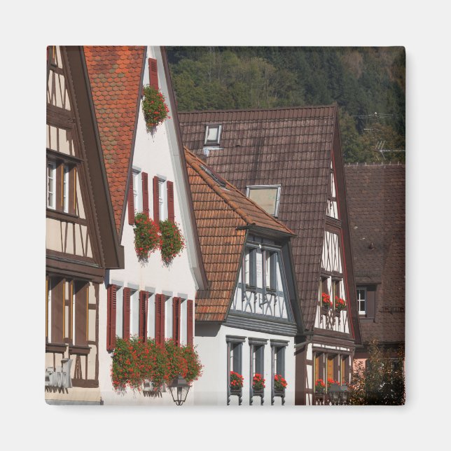 Traditional Germany Houses Magnet (Front)