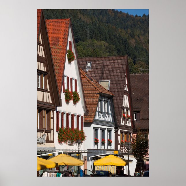 Traditional Germany Houses Poster (Front)