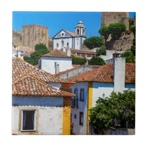 Traditional Red Roof Houses Portugal Tile