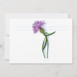 Traditional Scottish and Celtic Wedding Thistle Th