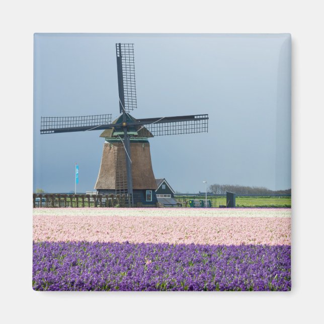 Traditional windmill with pink and purple flowers magnet (Front)