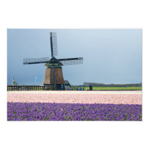 Traditional windmill with pink and purple flowers photo print