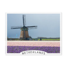 Traditional windmill with pink and purple flowers