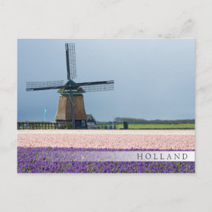 Traditional windmill with pink and purple flowers postcard