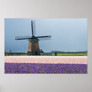 Traditional windmill with pink and purple flowers poster