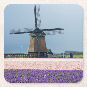 Traditional windmill with pink and purple flowers square paper coaster