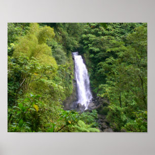 Trafalgar Falls, Dominica Poster