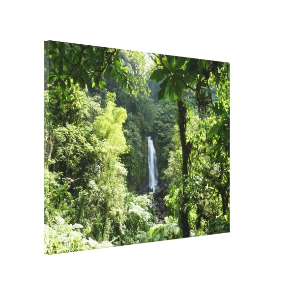 Rainforest Posters & Prints | Zazzle UK