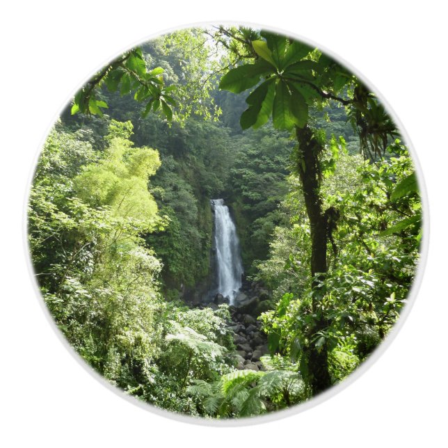 Trafalgar Falls Tropical Rainforest Photography Ceramic Knob (Front)
