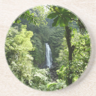 Trafalgar Falls Tropical Rainforest Photography Coaster