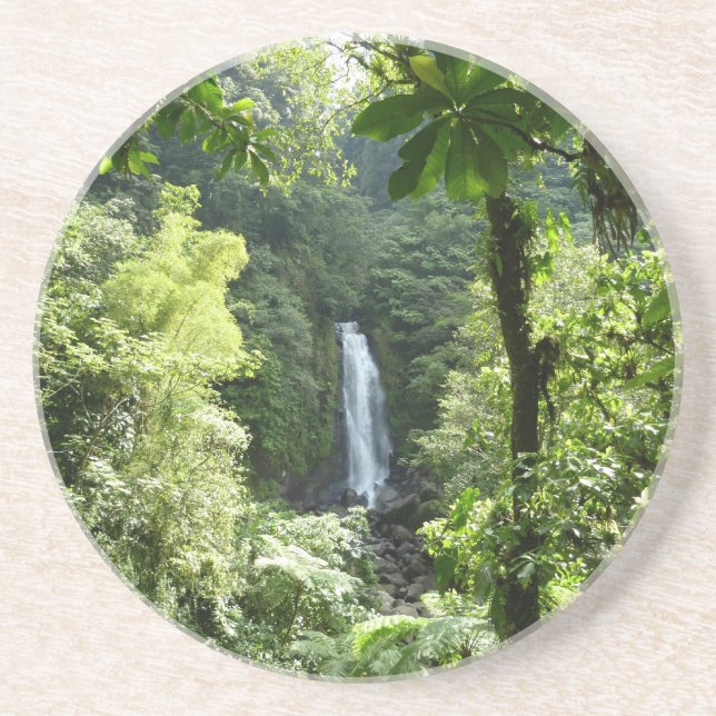 Trafalgar Falls Tropical Rainforest Photography Coaster (Front)