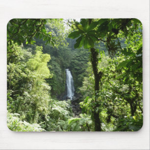 Trafalgar Falls Tropical Rainforest Photography Mouse Mat