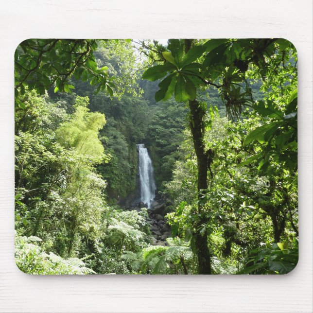 Trafalgar Falls Tropical Rainforest Photography Mouse Mat (Front)